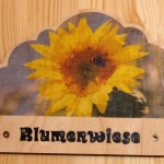 7-0-Blumenwiese