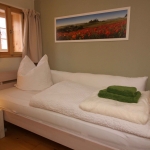 7-4-Blumenwiese3
